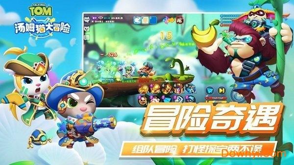 可爱的小孔雀救援