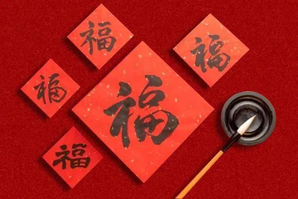 救援非洲金猫