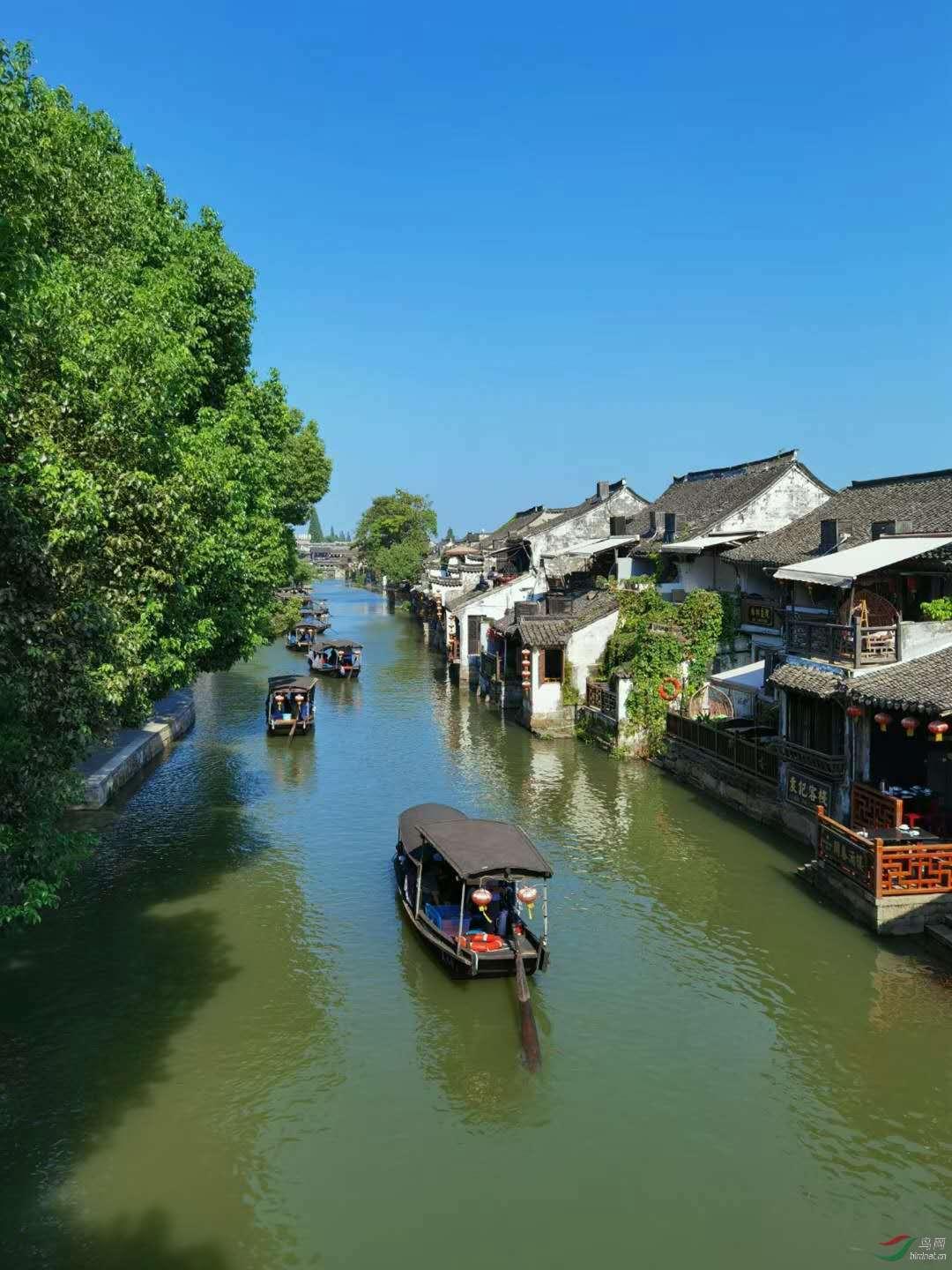 驱逐城堡入侵者选关版